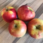 appels fruithuis